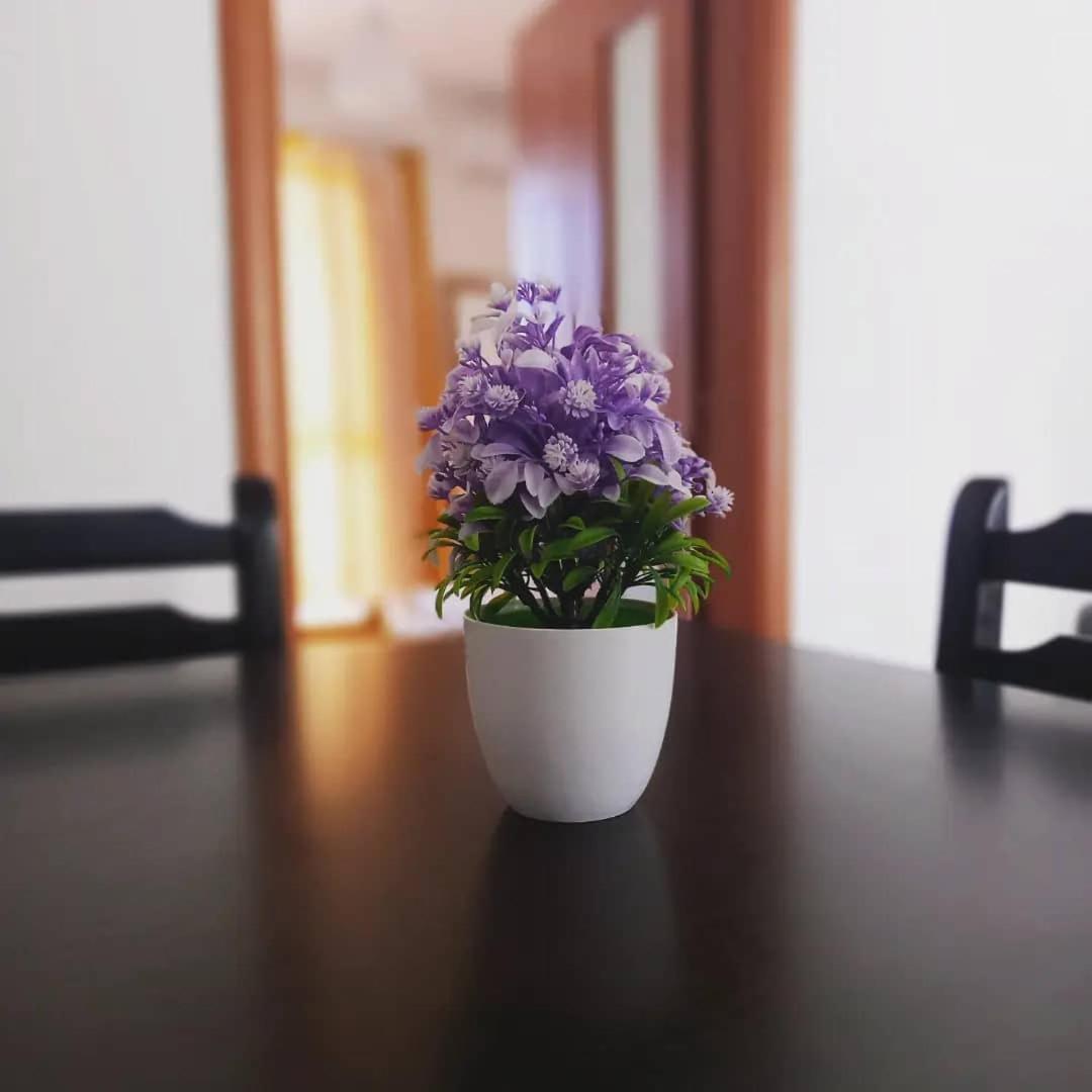 Kraja Leilighet Velipojë
